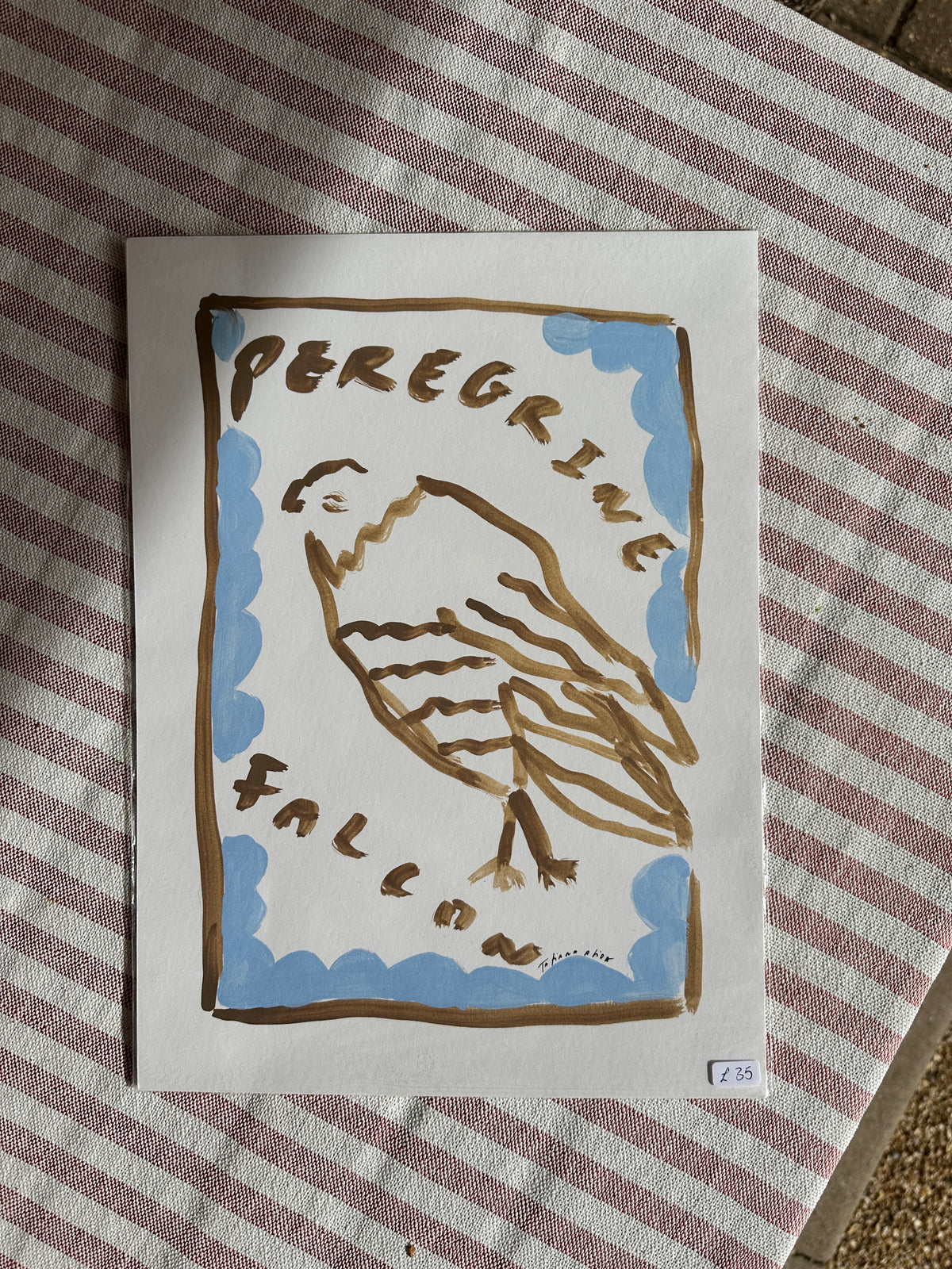 Peregrin Falcon A4 Print