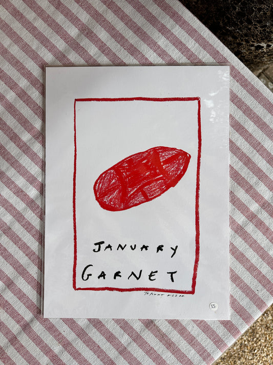 January Birthstone A4 Print